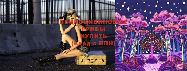 синтетический гашиш Алексин